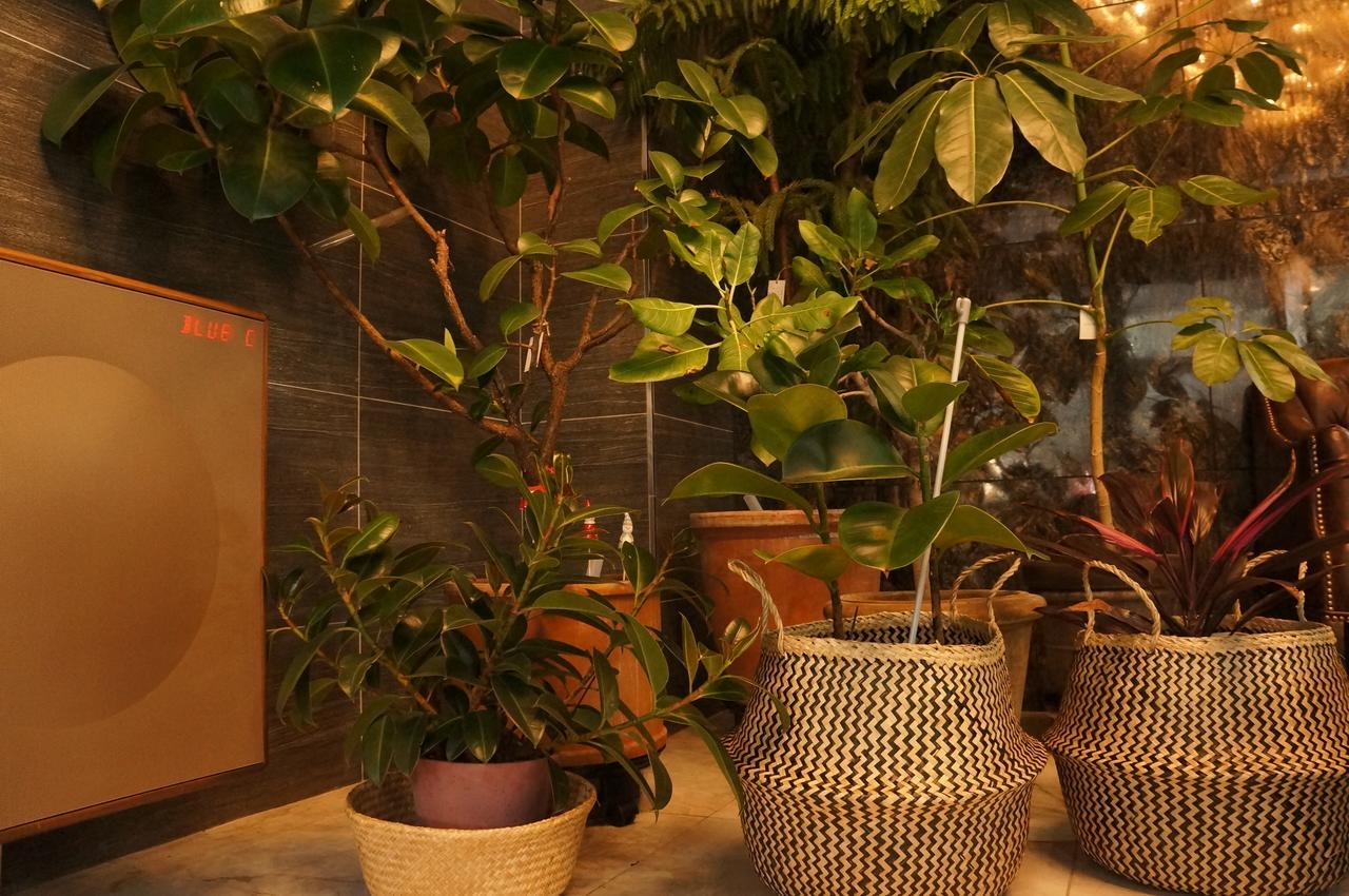 Soyu Hotel Пусан Екстериор снимка